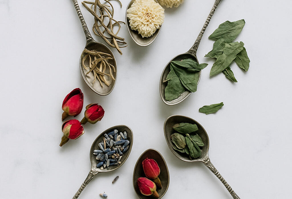 Herbalism Landscape | Bông Trà ➤
