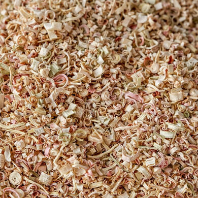 Cymbopogon citratus • Lemongrass