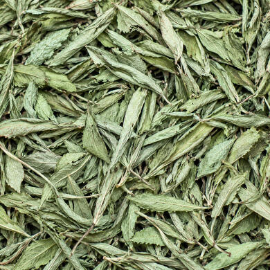 Stevia rebaudiana Bertoni • Sweet leaf • Honey leaf • Sweet weed • Sweet herb.