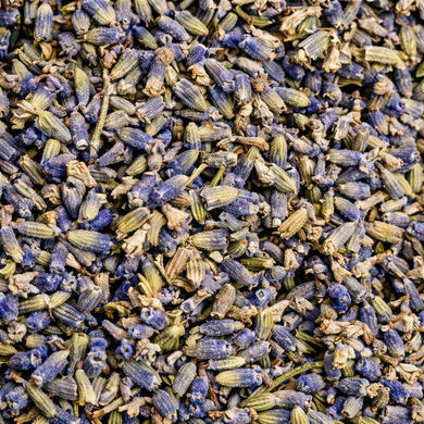 Lavandula angustifolia • Lavender flowers
