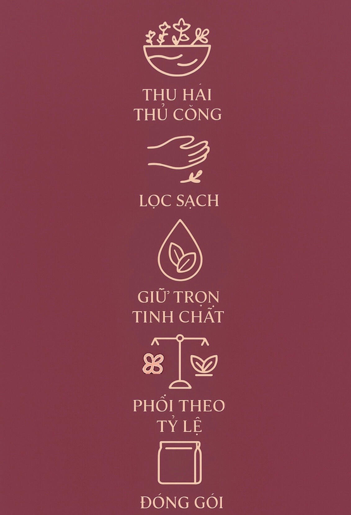 Quy trình tạo ra Bông trà từ Herbalism Landscape